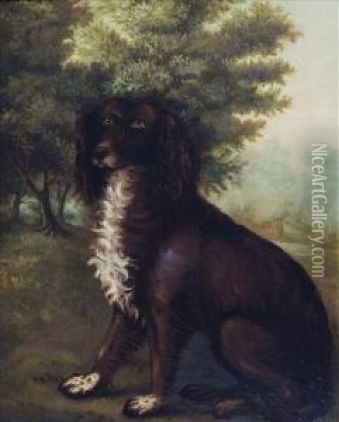 Portrait Of Anirish Water Spaniel Seated Within A Landscape Oil Painting - Clifton Tomson