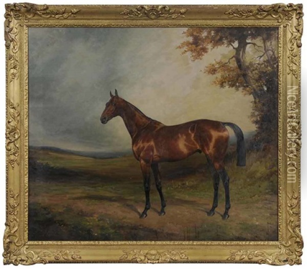 Ilston, A Bay Horse In A Landscape Oil Painting - Thomas Percy Earl