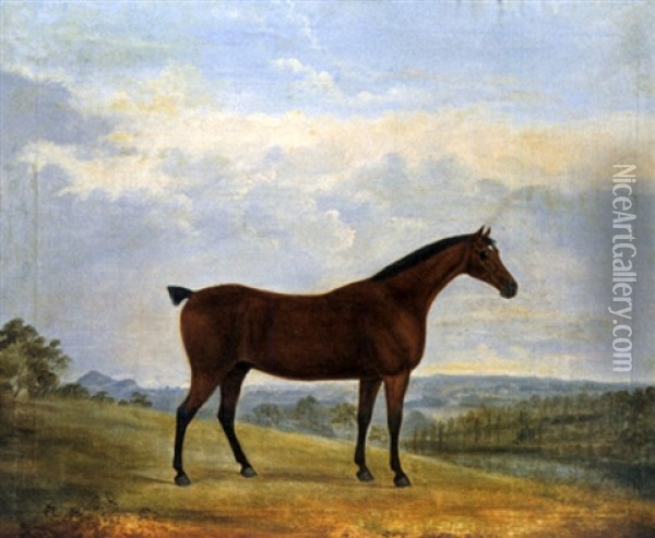 Pferd Vor Tiefer Landschaft Oil Painting - James Howie