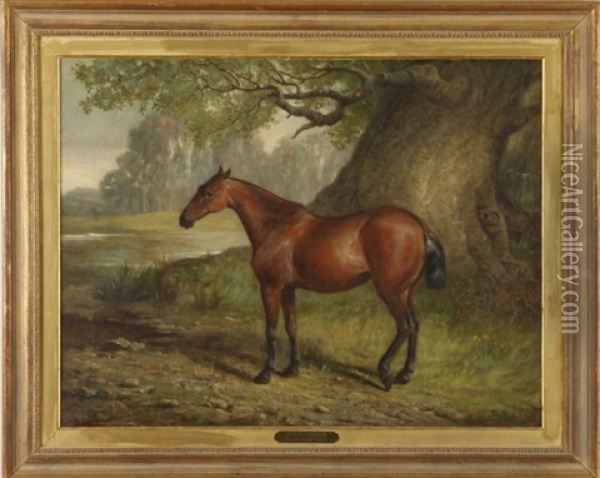Lady Bountiful, Equestrian Portrait Oil Painting - John Fitz Marshall