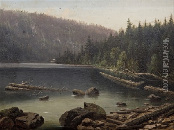 Jezero Na Sumave Oil Painting - Karel Liebscher