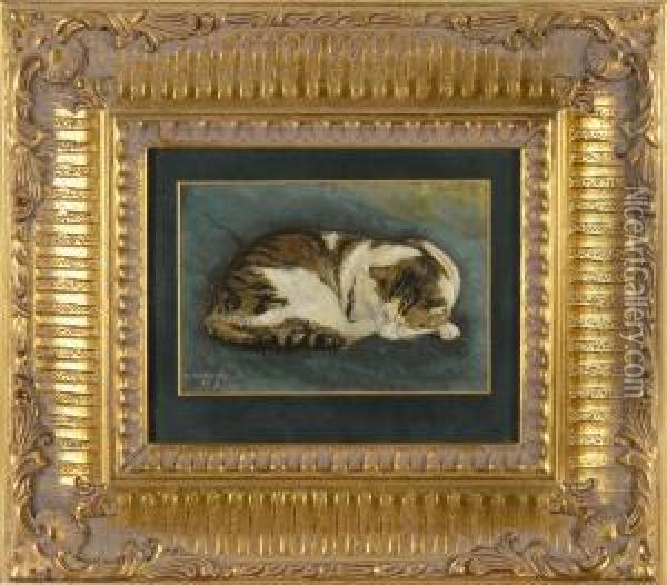 A Resting Cat Oil Painting - Howard Pyle