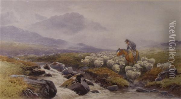 Dartmoor, Near Twobridges Oil Painting - Thomas, Tom Rowden