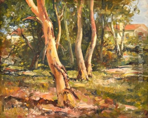 Linfield Gums Oil Painting - Robert Johnson