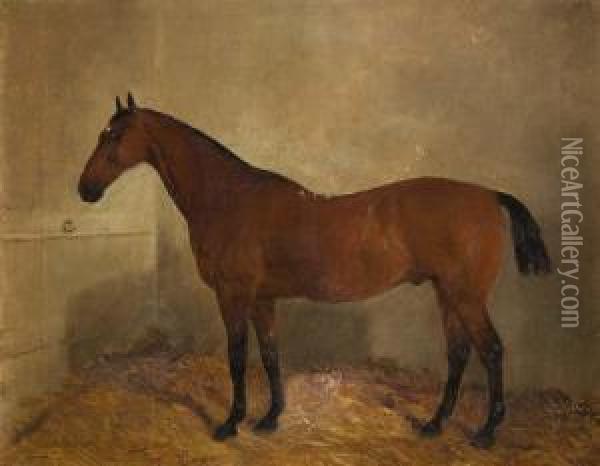 Pferde-portrat Im Stall-interieur Oil Painting - J. Duvall