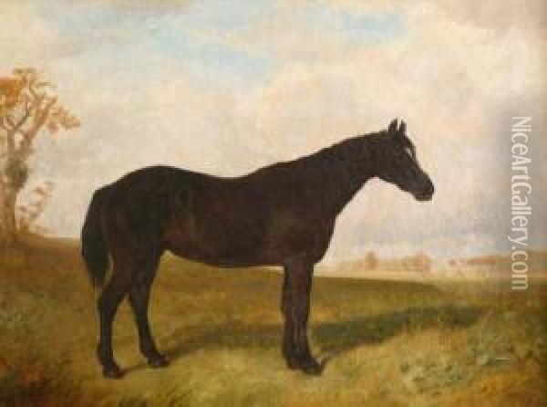Black Horse In A Landscape With Country Housebeyond Oil Painting - James Walsham Baldock