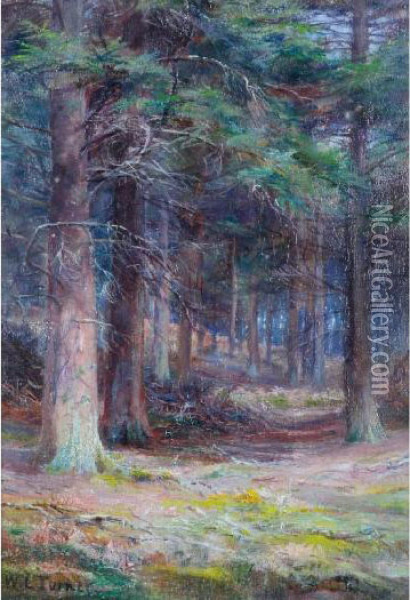 A Woodland Scene Oil Painting - William Lakin Turner