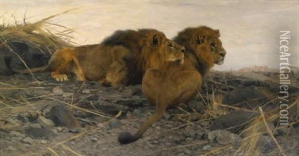 Spahende Lowen (lions At Watch) Oil Painting - Wilhelm Friedrich Kuhnert