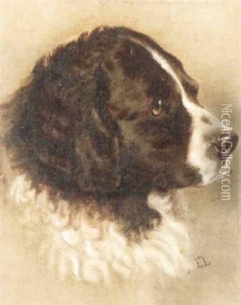 Portrait Of A Spaniel Oil Painting - Ernest Lawson