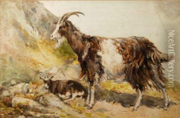 A Goat And A Kid Oil Painting - John Carlaw