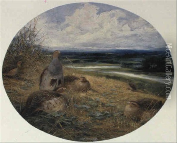 Partridges Oil Painting - Charles Whymper