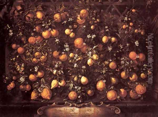 Citrus Oil Painting - Bartolommeo Bimbi