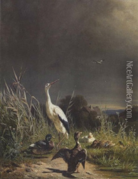 Storch Und Enten Oil Painting - Carl Jutz the Elder