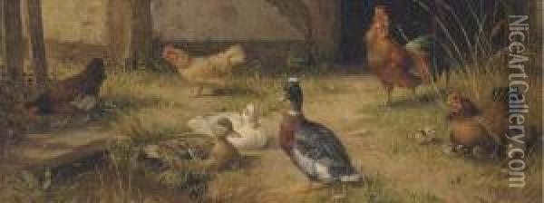 Poultry In The Farmyard Oil Painting - Carl Jutz