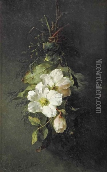 A Swag Of Wild White Roses Oil Painting - Margaretha Roosenboom