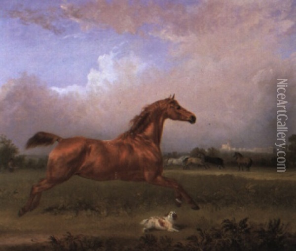 Chesnut Hunter And A King Charles Spaniel Near Windsor Castle Oil Painting - Edmund Bristow