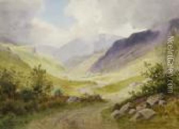 Gloomy Glenmalure, Wicklow Oil Painting - Joseph Carey Carey