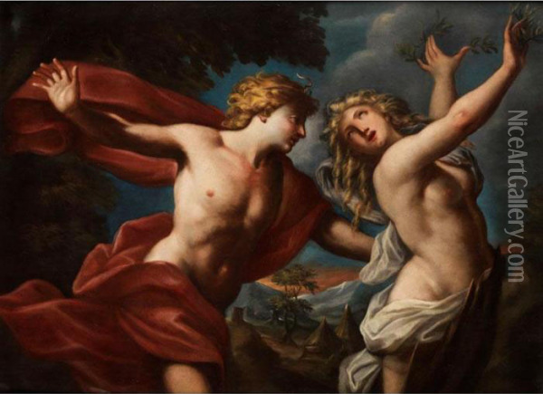 Apollo Und Daphne Oil Painting - Francesco Trevisani