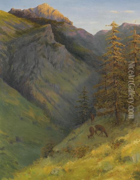 The Augustenberg From The Malbuntal Valley Oil Painting - Hans, Johann Gantner