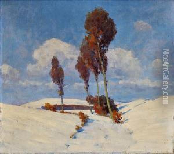 Zimna Alej Oil Painting - Ludovit Csordak