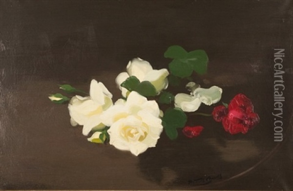 Still Life With Red And White Roses Oil Painting - Stuart James Park