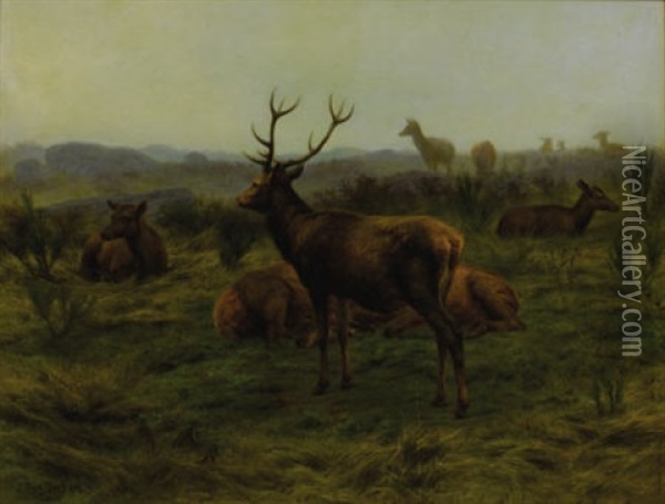 The Monarch Of The Herd Oil Painting - Rosa Bonheur