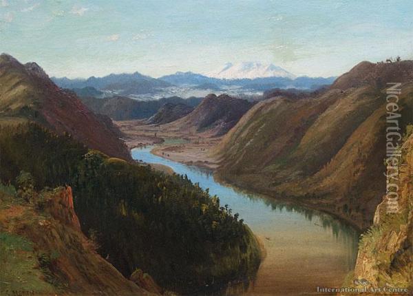 Wanganui River With Ruapehu Beyond Oil Painting - Charles Blomfield