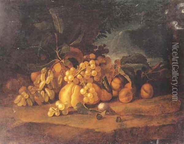 Grapes, peaches and plums on a forest floor Oil Painting - Tobias Stranover
