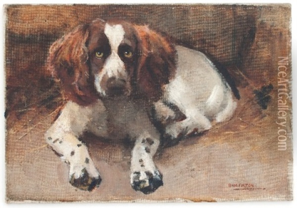 Study Of A Spaniel Oil Painting - Samuel Fulton