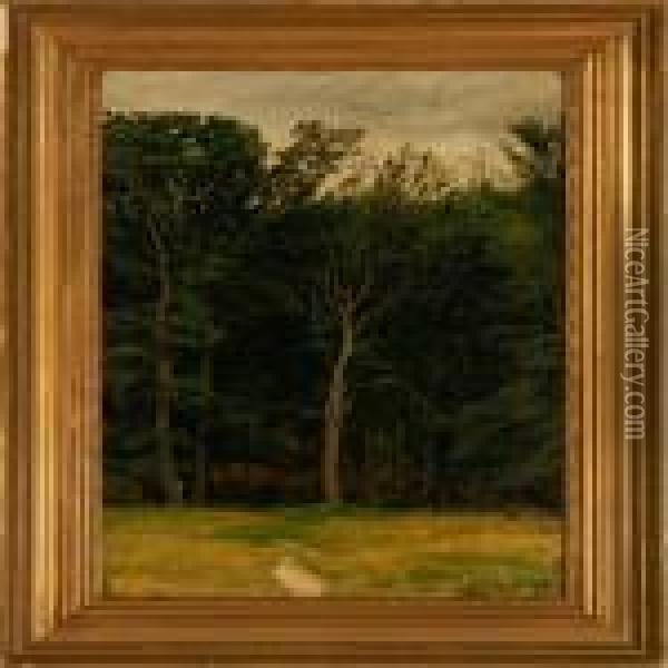 A Glade Oil Painting - Cilius Andersen