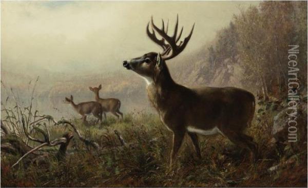 A Tempting Shot Oil Painting - Arthur Fitzwilliam Tait