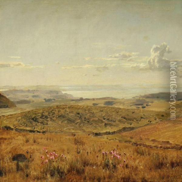 Landskab Oil Painting - Hermann Carl Siegumfeldt