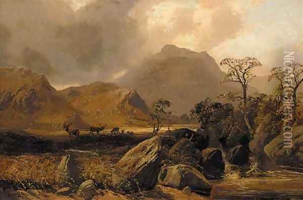 Stags in a Highland landscape Oil Painting - Clarence Roe