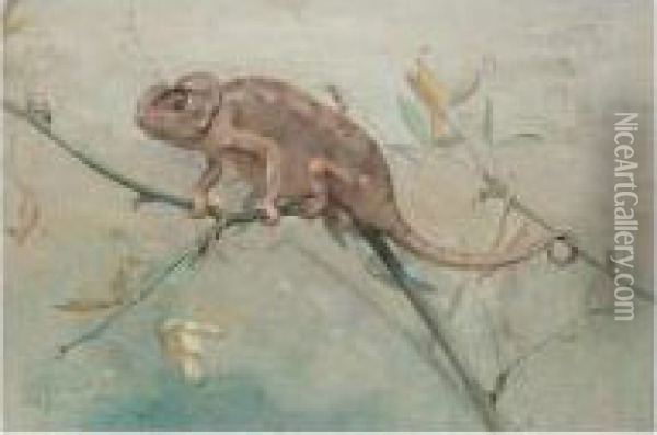 Chameleon Oil Painting - Edwin John Alexander