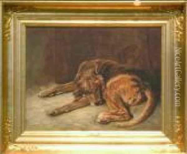 The Sleeping Bloodhound Oil Painting - Landseer, Sir Edwin