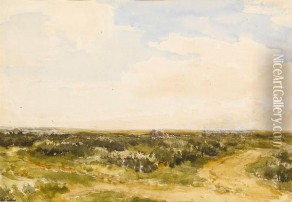 An Extensive Dune Landscape Oil Painting - Thomas Collier