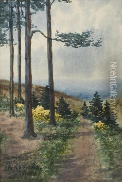 A Path By Tall Trees Oil Painting - William Percy French