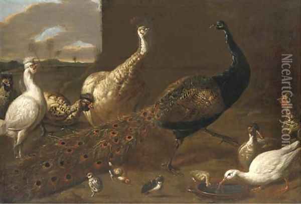 A peacock, a peahen, ducks and fowl poultry in a yard Oil Painting - Adriaen van Utrecht