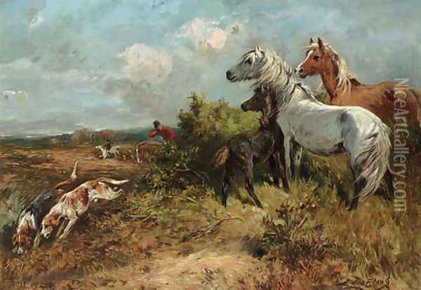 Ponies watching the hunt Oil Painting - John Emms