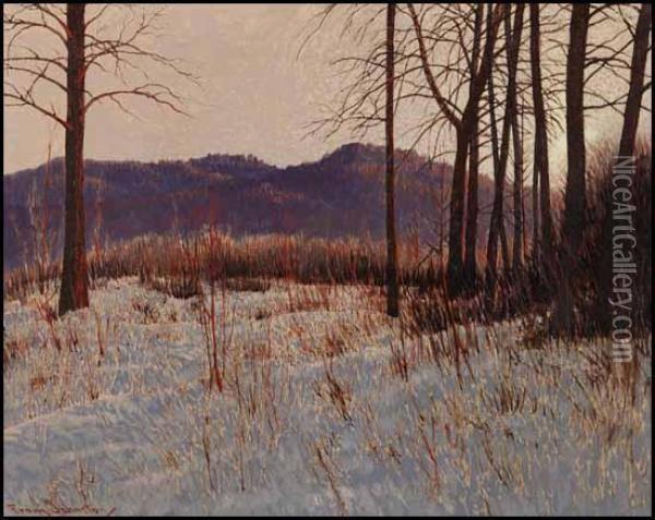 Frost And Rime Oil Painting - Franz Hans Johnston