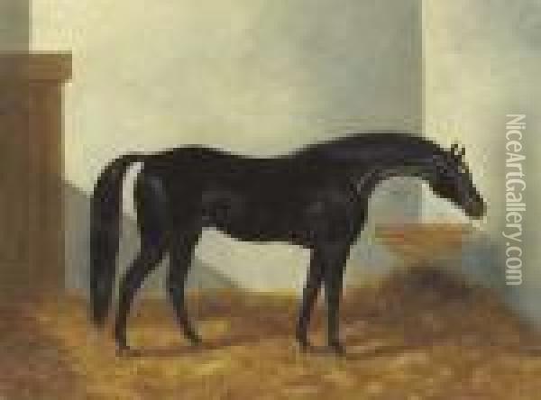 Virgil, A Black Stallion In A Stable Oil Painting - Henry Stull