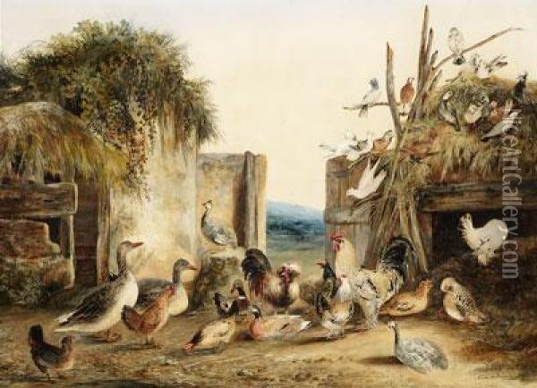 Aves En Elcorral Oil Painting - Aline Alaux