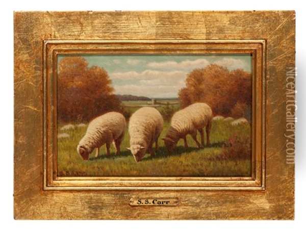 Sheep In Meadow Oil Painting - Samuel S. Carr