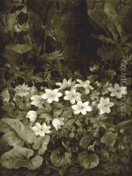 Woodland Flowers Oil Painting - Christine Marie Lovmand