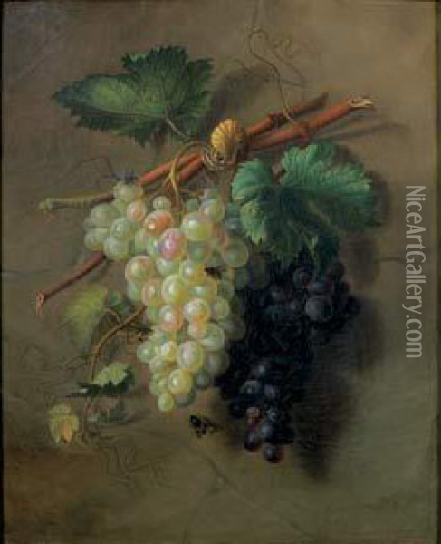 Nature Morte Aux Grappes De Raisins Blancs Et Noirs Oil Painting - Ange Louis Guillaume Lesourd De Beauregard