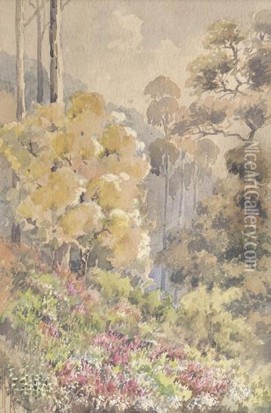 Macedon Landscape With Wildflowers Oil Painting - Marian Ellis Rowan