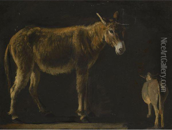 Studies Of A Donkey Oil Painting - Michelangelo Cerqouzzi