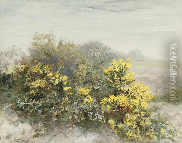 Gorse In Flower On The Isle Of Wight Oil Painting - Arthur Hopkins
