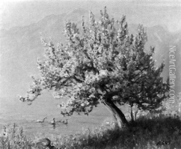 Bluhender Baum Am Ufer Des Genfersees Oil Painting - Albert Henri John Gos