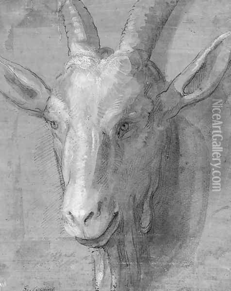 The head of a goat Oil Painting - Genoese School